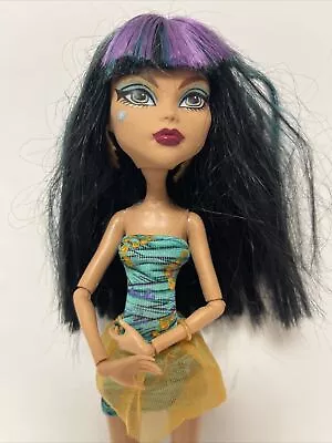 Monster High Mad Science Cleo • $9.29