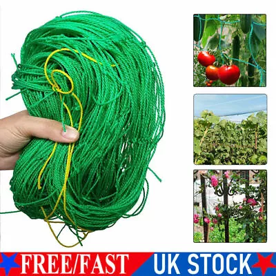 £6.59 • Buy Plant Support Mesh Garden Net Vegetable Fruit Climbing Netting Pea Bean Trellis