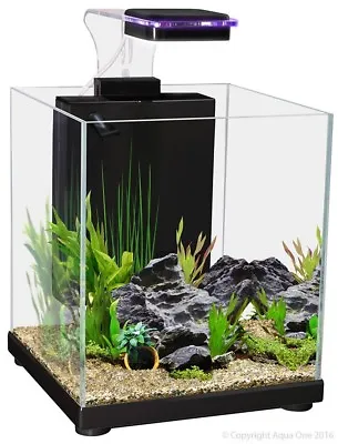 $115 • Buy Aqua One Betta Fighter Fish Sanctuary Aquarium Fish Tank Black 10 Litre
