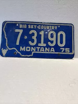 Vintage LICENSE PLATE 1975 Montana Truck Single Metal Car Tags Plates RETRO Rare • $30