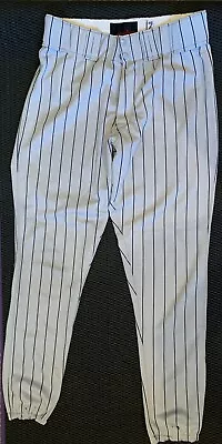 Brooklyn Cyclones Gameworn Baseball Pants (#12) • $50