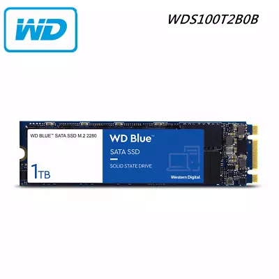 SSD WD M.2 1TB Blue 3D Nand PC Solid State Drive SATA III 2280 WDS100T3B0B • $159.95