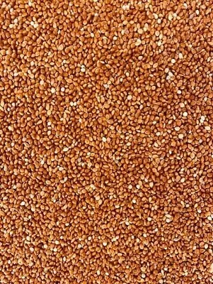 Premium Quality Red Millet Seed Budgie Finch Canary Caged Aviary & Wild Birds • £2.45