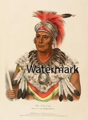 McKenney Hall Indian - WA-PEL-LA. CHIEF OF THE MUSQUAKEES - 17x22 LARGE Print • $24.99