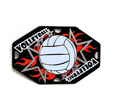 Lot Of 9 Volleyball Color Aluminum Plates Decor Sew-On Badge 2.5 X 1.5  • $11.96