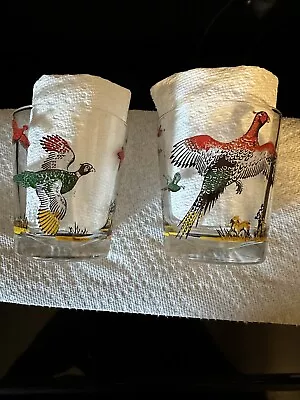 Vintage Hazel Atlas Pheasant Lowball Rocks Glasses (Set Of 2) • $14.55