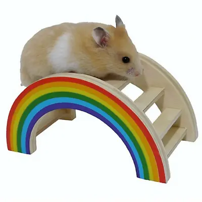 Rosewood Boredom Breaker Rainbow Bridge Toy Small Animal Toy Hamster Gerbil • £9.99