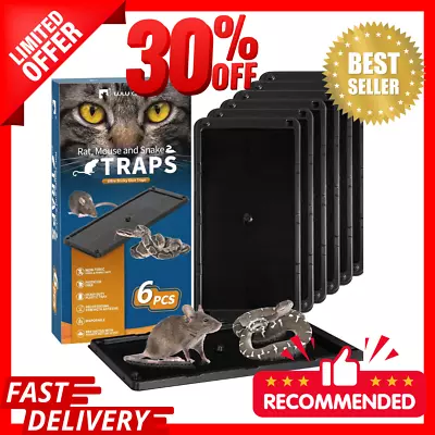Mouse Glue Traps Packs Glue Traps Traps For Mice Sticky Mice Trap Boards Traps.. • $13.99