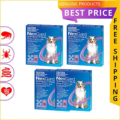 NEXGARD SPECTRA 3612 Doses Heartworm Flea Treatment For Dog 15 To 30 Kg PURPLE • $76.94