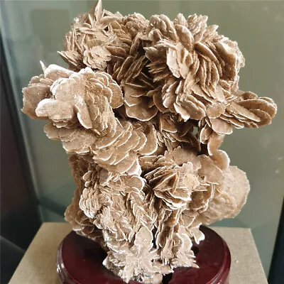 $239.99 • Buy 6.5 LB  DESERT ROSE SELENITE Specimen Crystal Stone Mineral Cluster + Stand #482