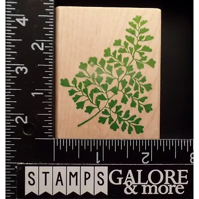 Rubber Stampede Rubber Stamps A1129e Maidenhair Fern Garden Plant #t44 • $5.99