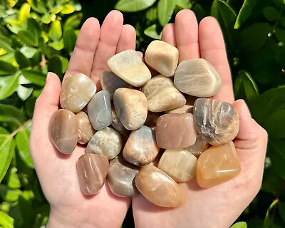 1/2 Lb Bulk Lot Moonstone Tumbled Stone (Crystal Healing Reiki Tumble) 8 Oz • $16.95