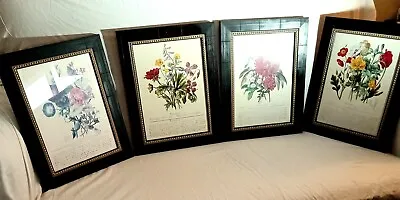 Vintage Framed Botanical Print Set Of Four 13.5  X 17.5  • $60