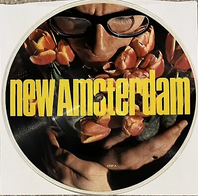 Elvis Costello – New Amsterdam EP 7  Vinyl Picture Disc 1980 F-Beat UK NM • $10.25