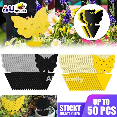 Up To 100pcs Dual Sided Strong Sticky Trap Insect Killer Fruit Fly Traps Gnat • $7.85