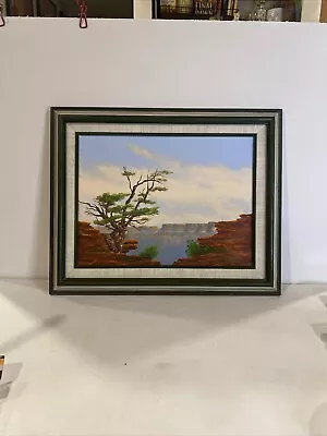 Vintage Grand Canyon Painting Original Signed “Nelson” Painting Wood Framed Art • $190