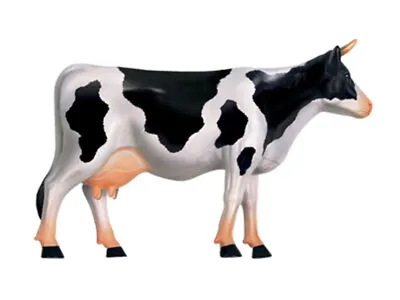 Puzzle Toys COW Anatomy Science And Education Assembled Model Teaching Model • $66.60