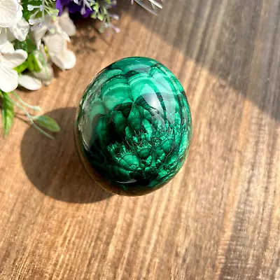 800g Natural Green Quartz Crystal Malachite Egg Mineral Specimen Healing • $160