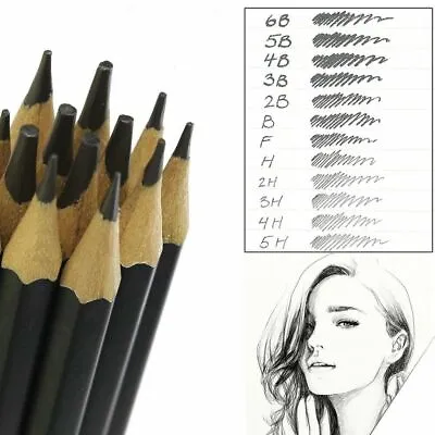£2.75 • Buy 12 X Graded Pencils For Drawing Sketching Tones Shades Art Artist