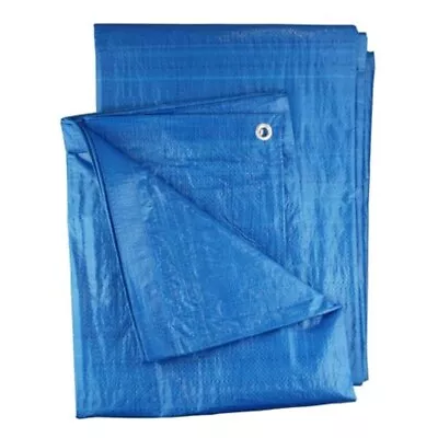 Blue Waterproof Tarpaulin Ground Camping Sheet Multipurpose Cover Furniture • £4.32