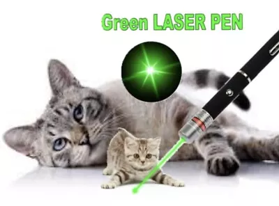 Laser Teaser Pen Cat Pointer Kitten Play Toy Mouse Projecting Light Fun Uk Stock • £4.25