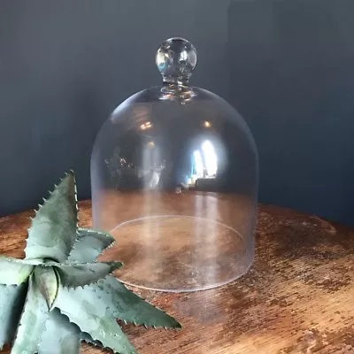 £16 • Buy Medium / Small Glass Garden Cloche Or Display Dome / Tall Bell Jar / Food Cover