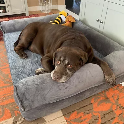 £73.91 • Buy XXXL Large Calming Dog Bed Orthopedic Sofa Waterproof Removable Cover Plush Mat