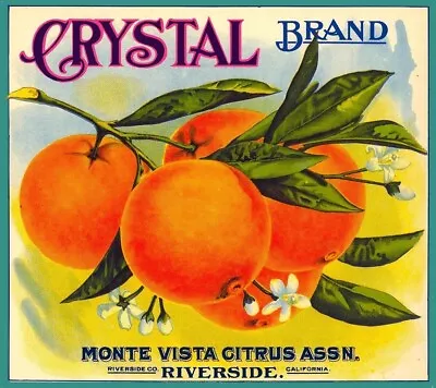 Crystal Brand Orange Riverside Citrus Fruit Crate Label Vintage Art Print • $12.50