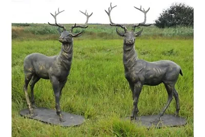 Large Lifesize Pair Of Cast Iron Standing Stag Deer Statues With Bronze Finish • £1699