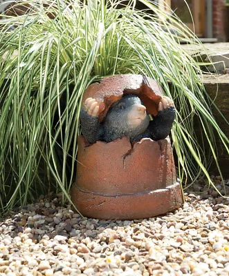 Mole In Terracotta Pot Garden Ornament - Resin Figure - Plant Pot Mole Statue • £15.98