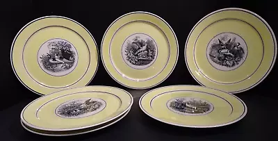 Villeroy & Boch Mettlach India Wild Bird Yellow Plates Set Of 6 - 9.25  Germany • $99.99