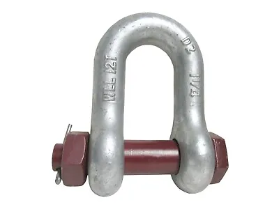 1 1/4  Safety Bolt Chain Shackle Lifting Clevis D Ring 12 Ton Crane Wrecker • $39