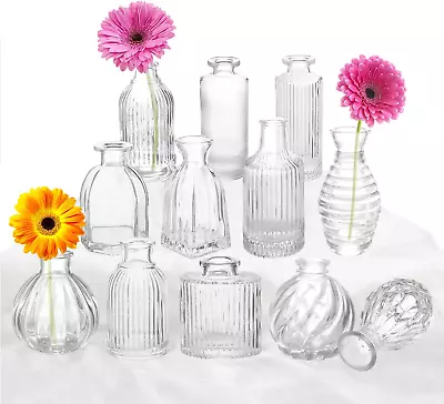 Bud Vases Set Of 12 Glass Vase For Decor Centerpieces Small Vases For Flowers • $49.88