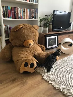 Giant Large Hamleys Teddy Bear • £60