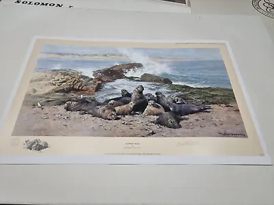 David Shepherd Signed Limited Edition Print  Elephant Seals  • £55