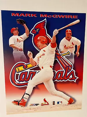 Mark McGwire St Louis Cardinals Poster 16x20 Inches • $4.99