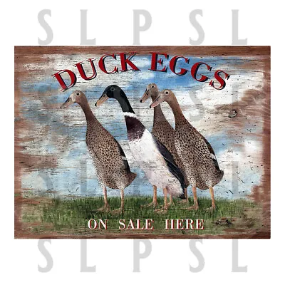 £4.25 • Buy Duck Eggs On Sale Here Retro Metal Aluminium Sign, Novelty Gift Home Décor Shop