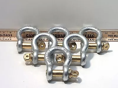 3/4  Screw Pin Anchor Shackle 4-3/4 Ton Clevis Bow Lifting Pulling Rigging (6ea) • $75