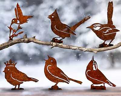 6 Rusty Metal Bird Garden Rustic Animals Silhouette Geometric Home Decor • $26.99