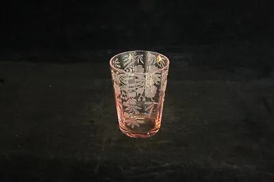Rare Cambridge Glass # 8401 Pink 731 Rosalie Etch Shot Whiskey Tumbler 2-1/2 Oz. • $49.99
