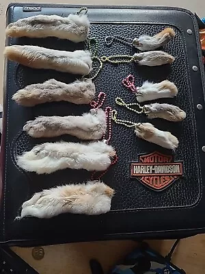 Lucky Rabbit Foot Keychain Large Or Small Foot Choice • $5