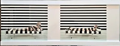 Vanessa Beecroft - Manipolazione Mediatica - HD Four Colour Double Print - 2006 • $2200