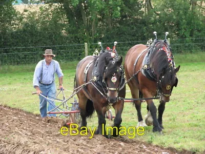 Photo 6x4 A Pair Of Horses Ploughing Sloley Worstead Festival 2007 C2007 • £2