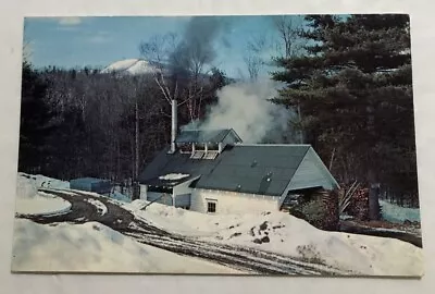 Maple Sugaring In Vermont. Postcard (U1) • $5.63