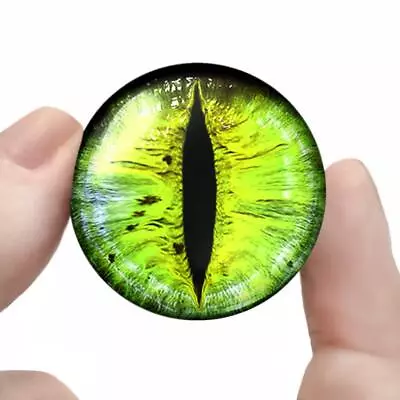 Green Monster Glass Eyes Realistic Taxidermy Eyeball 35mm Set • $14.99