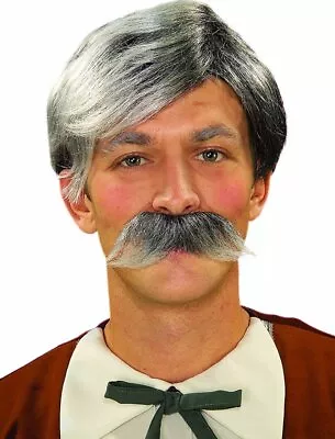 Gepetto Old Man Wig And Moustache Costume Kit Set Grey Grandpa Hair Accessories • $16.95