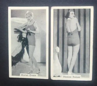 1930's Original Cigarette Cards Murray & Sons - Bathing Belles • £0.99