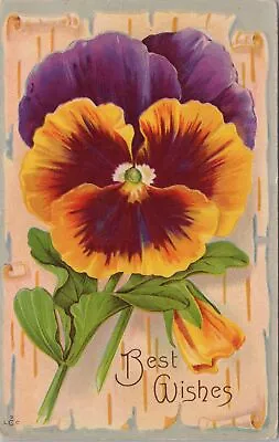 Greetings~Best Wishes~Colorful Flowers On Faux Parchment~Stecher 258D Vintage PC • $2.70