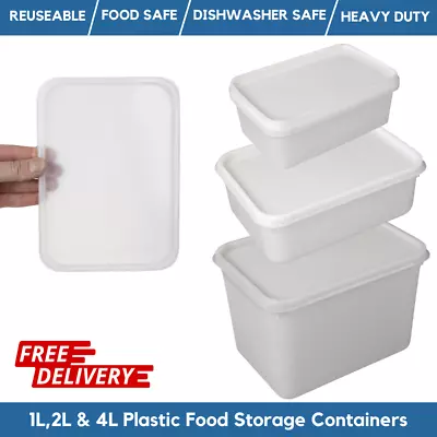 1L 2L & 4L Rectangular Food Storage Container / Ice Cream Tub Containers & Lids • £64.99