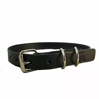 Dog Collar In Black 20mm • $34